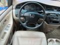 Mesa Beige Metallic - Odyssey EX-L Photo No. 25