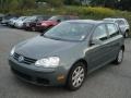 2007 Sage Green Metallic Volkswagen Rabbit 4 Door  photo #3