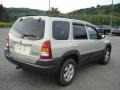 2004 Pebble Ash Metallic Mazda Tribute ES V6 4WD  photo #6