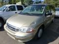 Light Parchment Gold Metallic - Windstar SE Photo No. 4