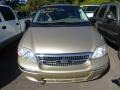 Light Parchment Gold Metallic - Windstar SE Photo No. 5