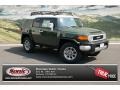 Army Green - FJ Cruiser 4WD Photo No. 1