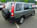 Silver Moss Metallic - CR-V EX 4WD Photo No. 4