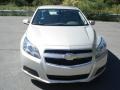 Champagne Silver Metallic - Malibu LT Photo No. 3