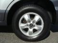 Pewter - Santa Fe GLS 4WD Photo No. 6