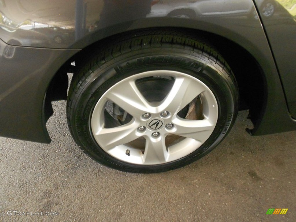 2010 TSX Sedan - Polished Metal Metallic / Taupe photo #12