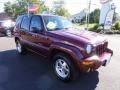 2003 Dark Garnet Red Pearl Jeep Liberty Limited 4x4  photo #4