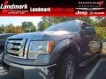 2010 Sterling Grey Metallic Ford F150 XLT SuperCrew  photo #1