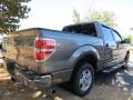2010 Sterling Grey Metallic Ford F150 XLT SuperCrew  photo #2