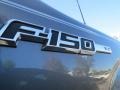 2010 Sterling Grey Metallic Ford F150 XLT SuperCrew  photo #3