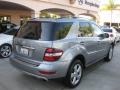 2010 Palladium Silver Metallic Mercedes-Benz ML 350  photo #2