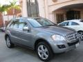 2010 Palladium Silver Metallic Mercedes-Benz ML 350  photo #27