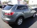 Dolphin Gray Mica - CX-9 Touring AWD Photo No. 5