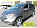 2010 Urban Titanium Metallic Honda CR-V EX-L AWD  photo #1
