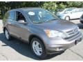 2010 Urban Titanium Metallic Honda CR-V EX-L AWD  photo #3