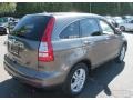 2010 Urban Titanium Metallic Honda CR-V EX-L AWD  photo #6