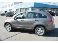 2010 Urban Titanium Metallic Honda CR-V EX-L AWD  photo #11