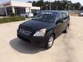 2005 Nighthawk Black Pearl Honda CR-V LX  photo #1