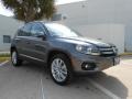 Pepper Gray Metallic - Tiguan SE Photo No. 1