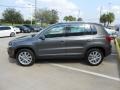 Pepper Gray Metallic - Tiguan SE Photo No. 4