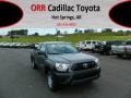 Magnetic Gray Metallic - Tacoma Access Cab Photo No. 1