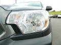 Magnetic Gray Metallic - Tacoma Access Cab Photo No. 9