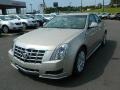 2013 Silver Coast Metallic Cadillac CTS 3.0 Sedan  photo #7