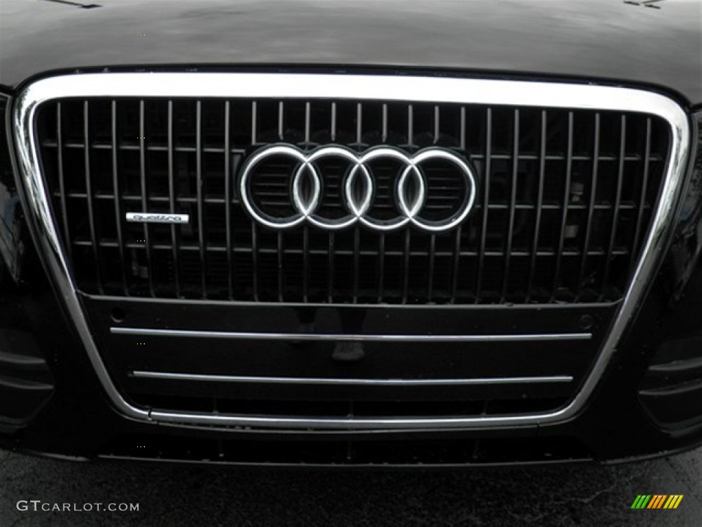 2009 Q5 3.2 Premium quattro - Brilliant Black / Cardamom Beige photo #6