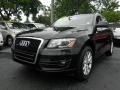 Brilliant Black - Q5 3.2 Premium quattro Photo No. 11