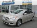 Camel Pearl - Sonata GLS Photo No. 1