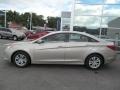 Camel Pearl - Sonata GLS Photo No. 2