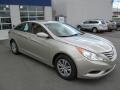 Camel Pearl - Sonata GLS Photo No. 5