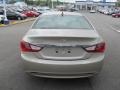 Camel Pearl - Sonata GLS Photo No. 7