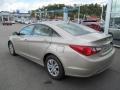 Camel Pearl - Sonata GLS Photo No. 8