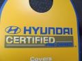 2010 Carbon Gray Mist Hyundai Elantra SE  photo #11