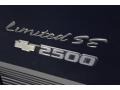 2004 Indigo Blue Metallic Chevrolet Express 2500 Passenger Conversion Van  photo #24