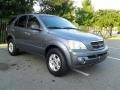 Alpine Gray - Sorento LX Photo No. 4