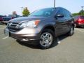 Urban Titanium Metallic - CR-V LX Photo No. 1