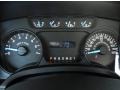 Steel Gray Gauges Photo for 2013 Ford F150 #71281864