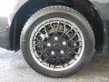 Black Sand Pearl - Matrix XR Photo No. 10
