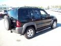 Black Clearcoat - Liberty Sport 4x4 Photo No. 11