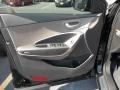 Gray 2013 Hyundai Santa Fe Sport 2.0T Door Panel