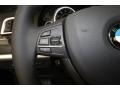 Black Controls Photo for 2013 BMW 5 Series #71299369