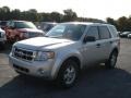 Ingot Silver Metallic - Escape XLT V6 4WD Photo No. 4