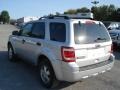 Ingot Silver Metallic - Escape XLT V6 4WD Photo No. 6