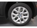 2013 Platinum Gray Metallic BMW X5 xDrive 35i Premium  photo #7