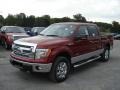 Ruby Red Metallic 2013 Ford F150 XLT SuperCrew 4x4 Exterior