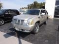 Silver Coast Metallic - Escalade Luxury Photo No. 1