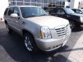 Silver Coast Metallic - Escalade Luxury Photo No. 5