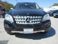 Black - ML 350 4Matic Photo No. 2